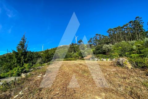 Helårsgrund i Alqueidao da Serra, Leiria, Alqueidao da Serra - € 50.000 | Ref: 1300015/23NL - foto 17