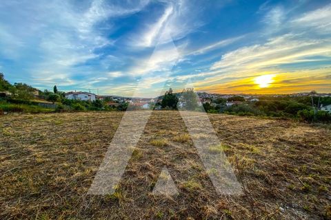 Helårsgrund i Alqueidao da Serra, Leiria, Alqueidao da Serra - € 50.000 | Ref: 1300015/23NL - foto 19