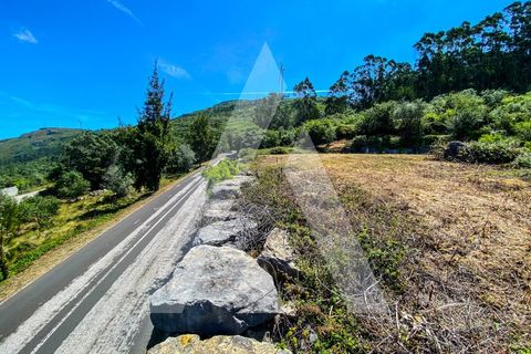 Helårsgrund i Alqueidao da Serra, Leiria, Alqueidao da Serra - € 50.000 | Ref: 1300015/23NL - foto 22