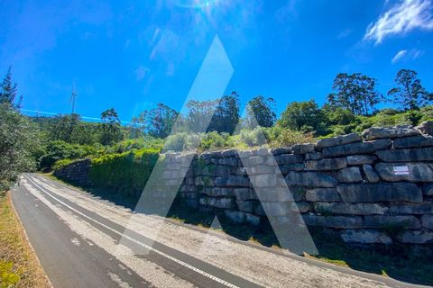 Helårsgrund i Alqueidao da Serra, Leiria, Alqueidao da Serra - € 50.000 | Ref: 1300015/23NL - foto 23