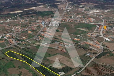 Helårsgrund i Batalha, Leiria, Batalha - € 173.000 | Ref: 1300115/23NL - foto 4