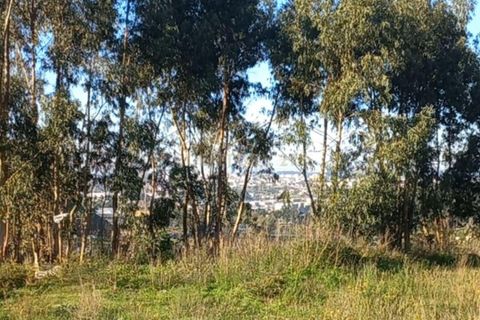 Helårsgrund i Maia, Porto, Maia - € 580.000 | Ref: C0393-00647 - foto 6