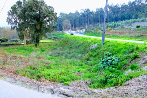 Helårsgrund i Ponte de Lima, Viana do Castelo, Ponte de Lima - € 100.000 | Ref: NH368 - foto 1