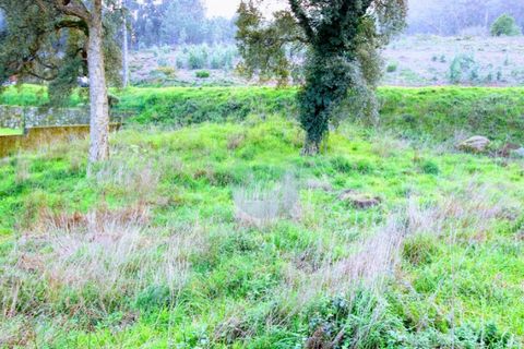 Helårsgrund i Ponte de Lima, Viana do Castelo, Ponte de Lima - € 100.000 | Ref: NH368 - foto 9