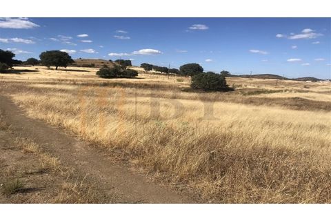 Helårsgrund i Mertola, Beja, Mertola - € 150.000 | Ref: BYS-545 - foto 4
