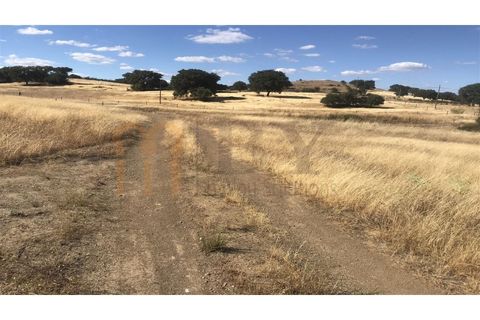 Helårsgrund i Mertola, Beja, Mertola - € 150.000 | Ref: BYS-545 - foto 5