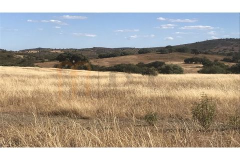 Helårsgrund i Mertola, Beja, Mertola - € 150.000 | Ref: BYS-545 - foto 6