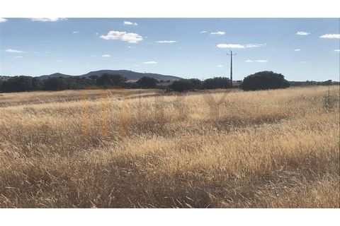 Helårsgrund i Mertola, Beja, Mertola - € 150.000 | Ref: BYS-545 - foto 7