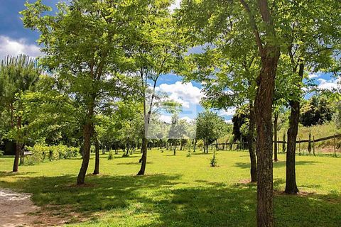 Villa i Sabran, Gard, Sabran - € 1.500.000 | Ref: 85114474 - foto 25