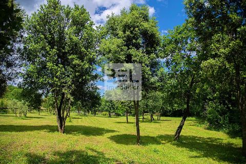 Villa i Sabran, Gard, Sabran - € 1.500.000 | Ref: 85114474 - foto 27