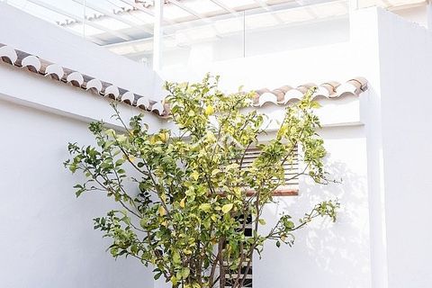 Villa a Torrox Costa, Malaga, Torrox Costa - € 675.000 | Ref: NPSV1899 - foto 35
