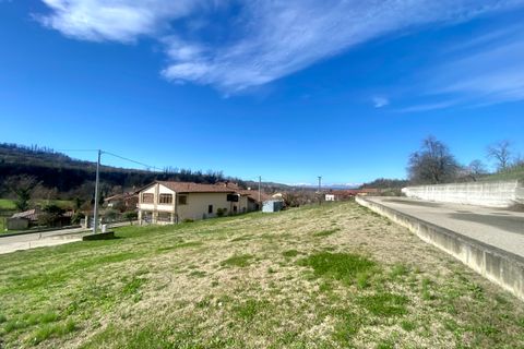 Terra a Dogliani, Cuneo, Dogliani - € 82.000 | Ref: D674.24 - foto 6