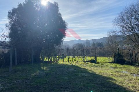 Helårsgrund i Amares, Braga, Amares - € 15.000 | Ref: AVV-2387-BS-0125 - foto 2