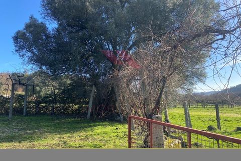 Helårsgrund i Amares, Braga, Amares - € 15.000 | Ref: AVV-2387-BS-0125 - foto 4
