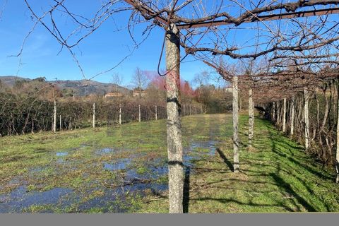Helårsgrund i Amares, Braga, Amares - € 15.000 | Ref: AVV-2387-BS-0125 - foto 5