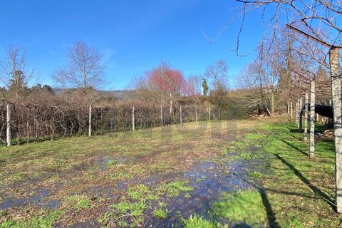 Helårsgrund i Amares, Braga, Amares - € 15.000 | Ref: AVV-2387-BS-0125 - foto 6