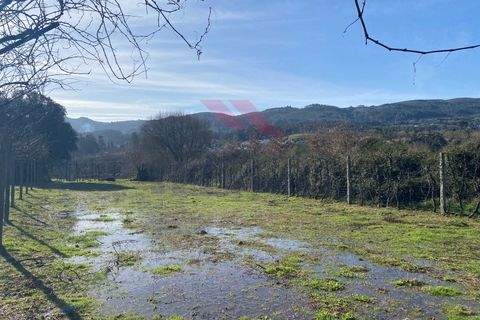 Helårsgrund i Amares, Braga, Amares - € 15.000 | Ref: AVV-2387-BS-0125 - foto 7