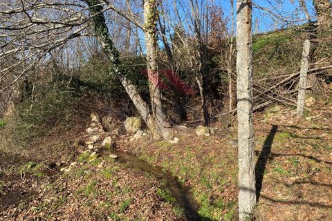 Helårsgrund i Amares, Braga, Amares - € 15.000 | Ref: AVV-2387-BS-0125 - foto 8