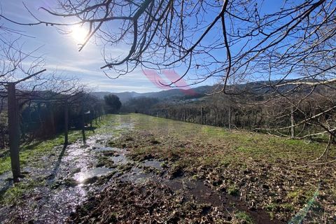 Helårsgrund i Amares, Braga, Amares - € 15.000 | Ref: AVV-2387-BS-0125 - foto 10