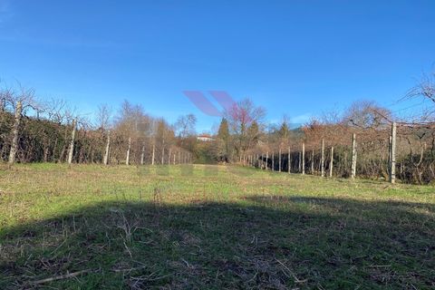 Helårsgrund i Amares, Braga, Amares - € 15.000 | Ref: AVV-2387-BS-0125 - foto 13