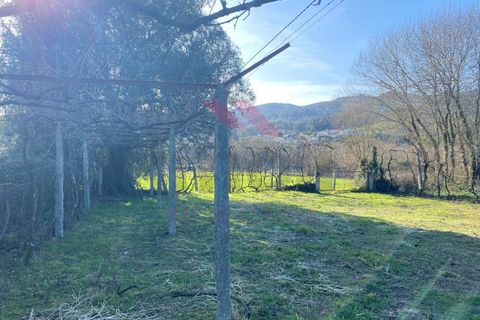 Helårsgrund i Amares, Braga, Amares - € 15.000 | Ref: AVV-2387-BS-0125 - foto 15