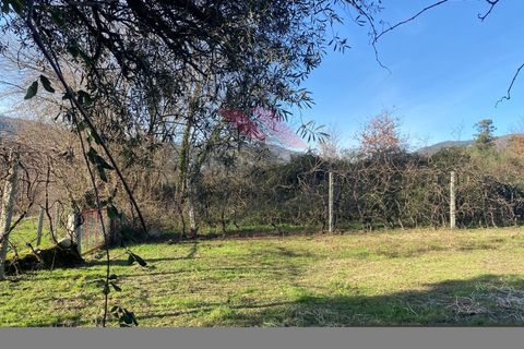 Helårsgrund i Amares, Braga, Amares - € 15.000 | Ref: AVV-2387-BS-0125 - foto 17