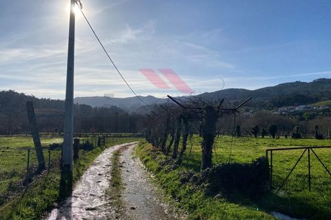 Helårsgrund i Amares, Braga, Amares - € 15.000 | Ref: AVV-2387-BS-0125 - foto 18