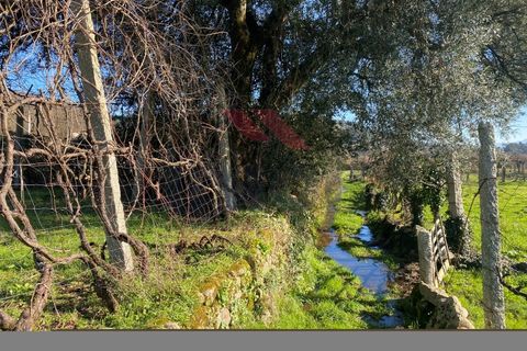Helårsgrund i Amares, Braga, Amares - € 15.000 | Ref: AVV-2387-BS-0125 - foto 19