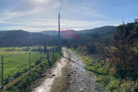 Helårsgrund i Amares, Braga, Amares - € 15.000 | Ref: AVV-2387-BS-0125 - foto 20