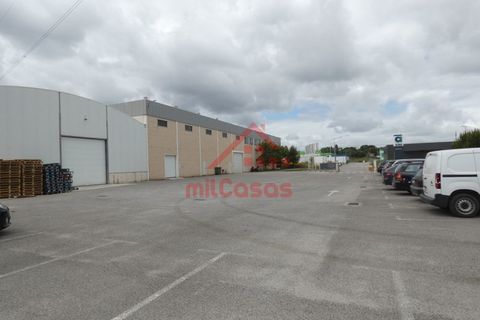 Erhvervsejendom i Cadaval, Lisbon, Cadaval - € 1.300.000 | Ref: M3373 TVD - foto 1