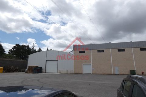 Erhvervsejendom i Cadaval, Lisbon, Cadaval - € 1.300.000 | Ref: M3373 TVD - foto 3