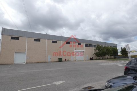 Erhvervsejendom i Cadaval, Lisbon, Cadaval - € 1.300.000 | Ref: M3373 TVD - foto 4