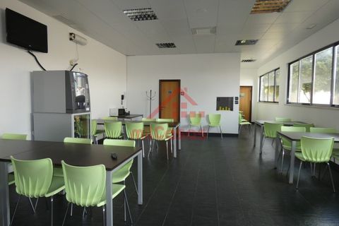 Erhvervsejendom i Cadaval, Lisbon, Cadaval - € 1.300.000 | Ref: M3373 TVD - foto 8