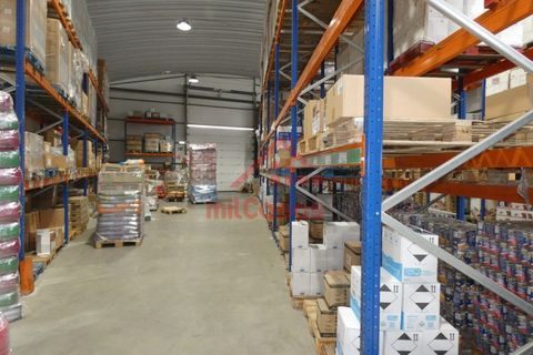 Erhvervsejendom i Cadaval, Lisbon, Cadaval - € 1.300.000 | Ref: M3373 TVD - foto 13