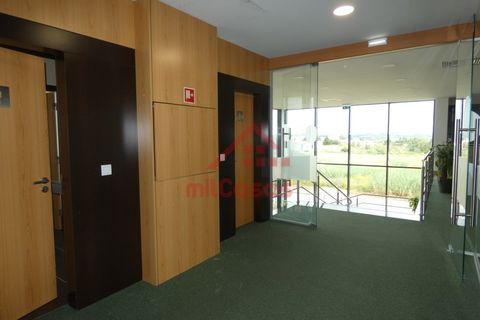 Erhvervsejendom i Cadaval, Lisbon, Cadaval - € 1.300.000 | Ref: M3373 TVD - foto 17