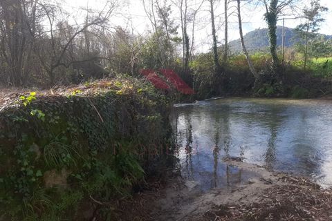 Helårsgrund i Ponte de Lima, Viana do Castelo, Ponte de Lima - € 27.000 | Ref: PTL-1202-AP-0125 - foto 3