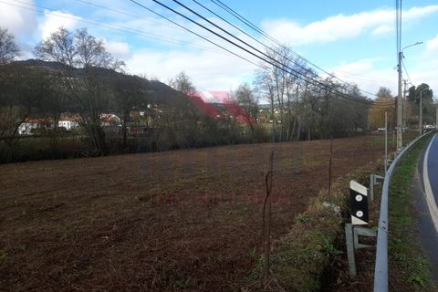 Helårsgrund i Ponte de Lima, Viana do Castelo, Ponte de Lima - € 27.000 | Ref: PTL-1202-AP-0125 - foto 4