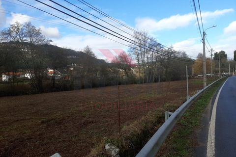 Helårsgrund i Ponte de Lima, Viana do Castelo, Ponte de Lima - € 27.000 | Ref: PTL-1202-AP-0125 - foto 5