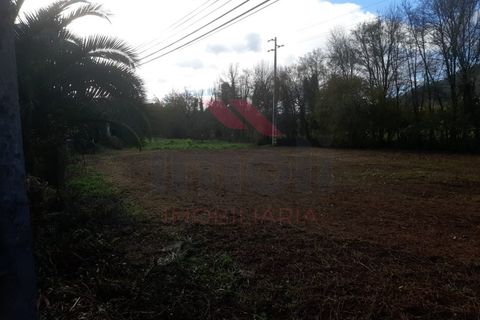 Helårsgrund i Ponte de Lima, Viana do Castelo, Ponte de Lima - € 27.000 | Ref: PTL-1202-AP-0125 - foto 7