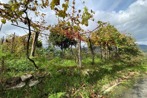 Helårsgrund i Arcos de Valdevez, Viana do Castelo, Arcos de Valdevez - € 60.000 | Ref: AVV-2041-JP-0622 - foto 1