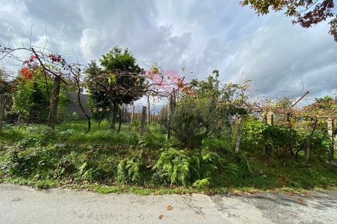 Helårsgrund i Arcos de Valdevez, Viana do Castelo, Arcos de Valdevez - € 60.000 | Ref: AVV-2041-JP-0622 - foto 2