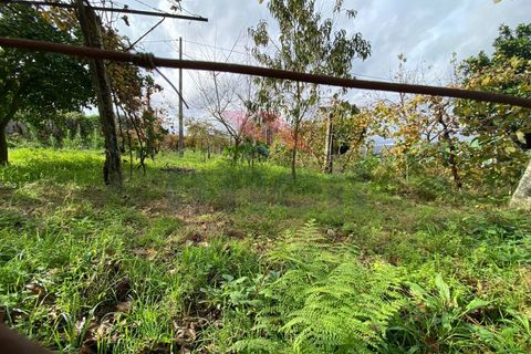 Helårsgrund i Arcos de Valdevez, Viana do Castelo, Arcos de Valdevez - € 60.000 | Ref: AVV-2041-JP-0622 - foto 3