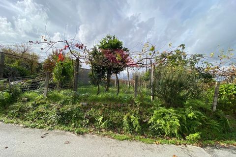 Helårsgrund i Arcos de Valdevez, Viana do Castelo, Arcos de Valdevez - € 60.000 | Ref: AVV-2041-JP-0622 - foto 6