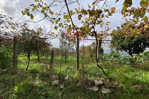 Helårsgrund i Arcos de Valdevez, Viana do Castelo, Arcos de Valdevez - € 60.000 | Ref: AVV-2041-JP-0622 - foto 7