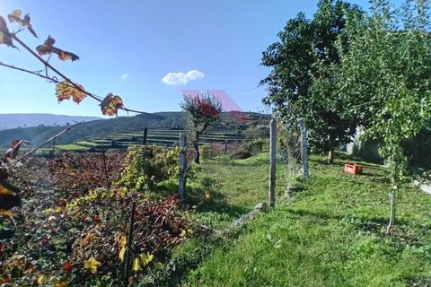 Villa i Arcos de Valdevez, Viana do Castelo, Arcos de Valdevez - € 425.000 | Ref: AVV-2358-MN-0924 - foto 24
