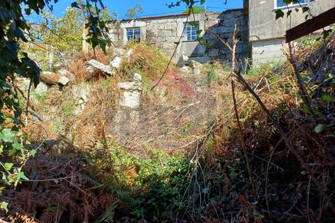Villa i Arcos de Valdevez, Viana do Castelo, Arcos de Valdevez - € 99.000 | Ref: AVV-2360-MC-1024 - foto 22