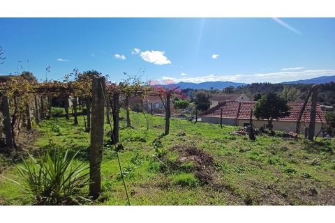 Villa i Arcos de Valdevez, Viana do Castelo, Arcos de Valdevez - € 99.000 | Ref: AVV-2360-MC-1024 - foto 37