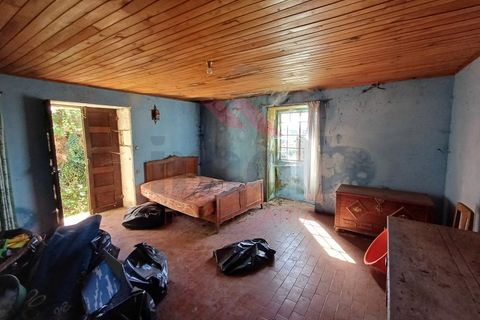 Villa i Arcos de Valdevez, Viana do Castelo, Arcos de Valdevez - € 99.000 | Ref: AVV-2360-MC-1024 - foto 42