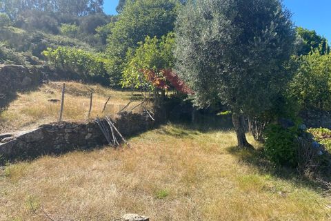 Villa i Arcos de Valdevez, Viana do Castelo, Arcos de Valdevez - € 196.000 | Ref: AVV-2332-MB-0724 - foto 10