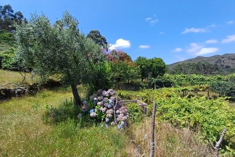 Villa i Arcos de Valdevez, Viana do Castelo, Arcos de Valdevez - € 196.000 | Ref: AVV-2332-MB-0724 - foto 14